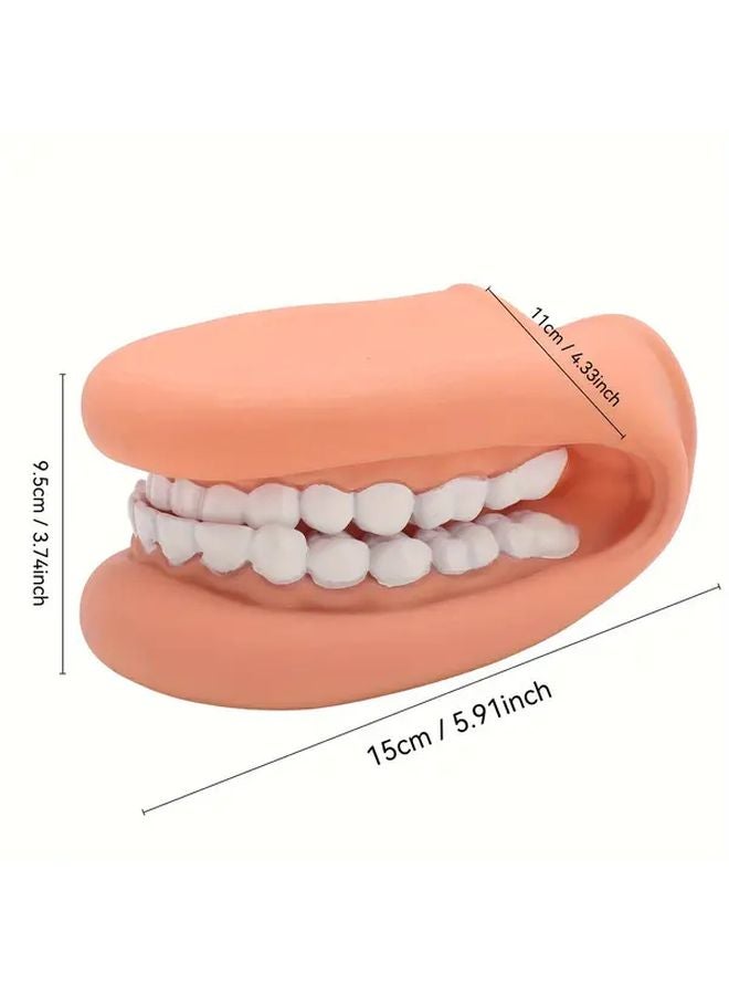 Dental Practice Model With Mouth Puppet Tongue PVC Oral Hygiene Demonstration Tool - Image 2